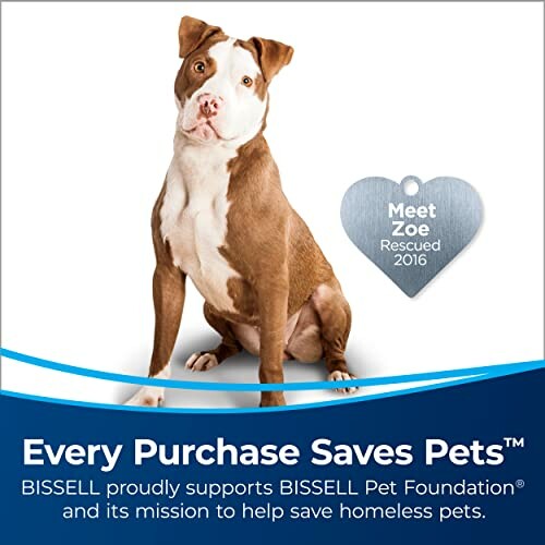 Dog with heart-shaped tag supporting Bissell Pet Foundation
