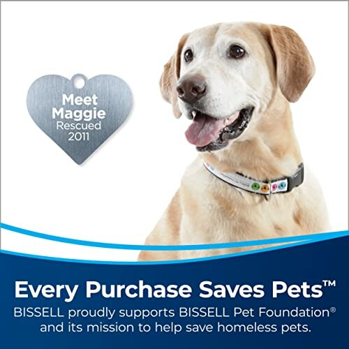 Dog with heart-shaped tag promoting BISSELL Pet Foundation.