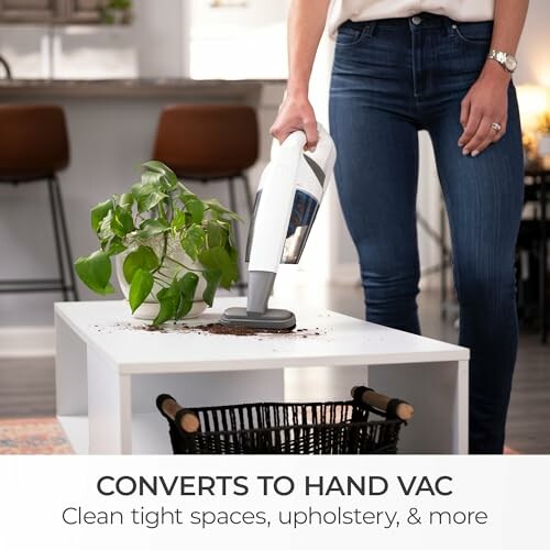 Person using a handheld vacuum to clean a table with a plant.