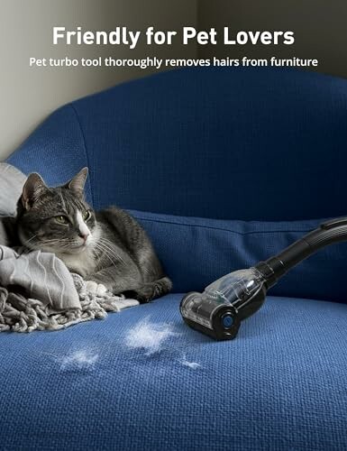 Cat on couch near vacuum removing pet hair.