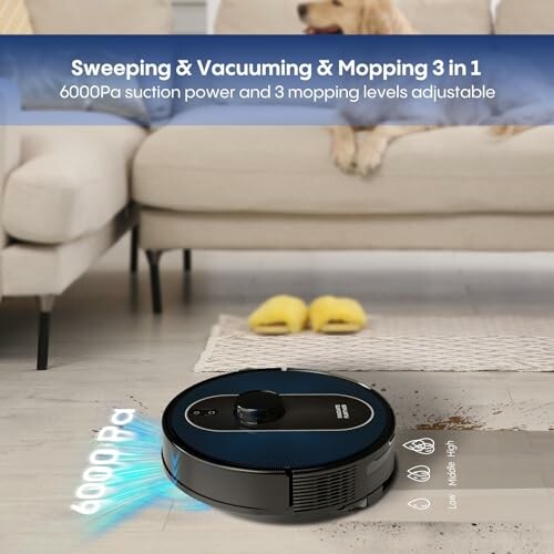 Robot vacuum cleaner with mopping function on a carpet.