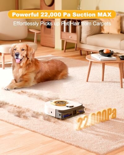 V10 Robot Vacuum