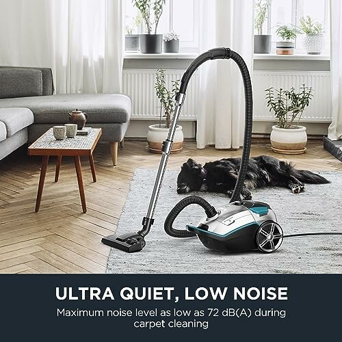Vacuum cleaner in living room with a dog lying on a rug.