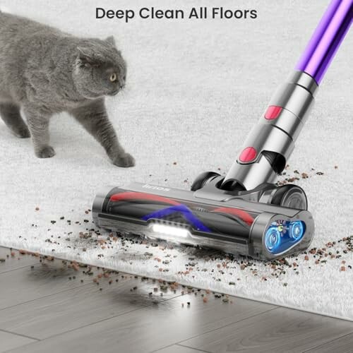 Vacuum cleaner on carpet with a cat nearby.