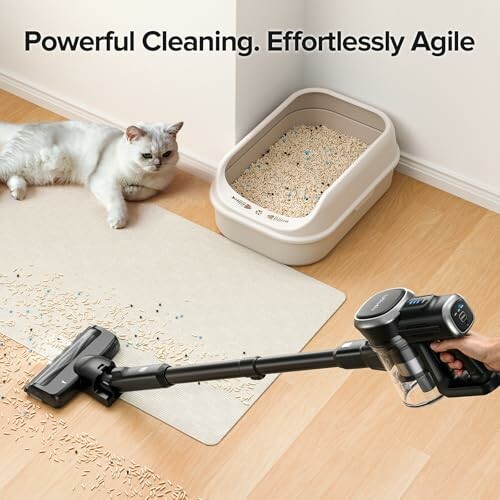 Vacuum cleaner cleaning cat litter near a cat.