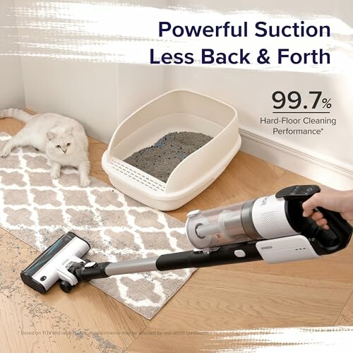 Vacuum cleaner near a cat and litter box on a rug.