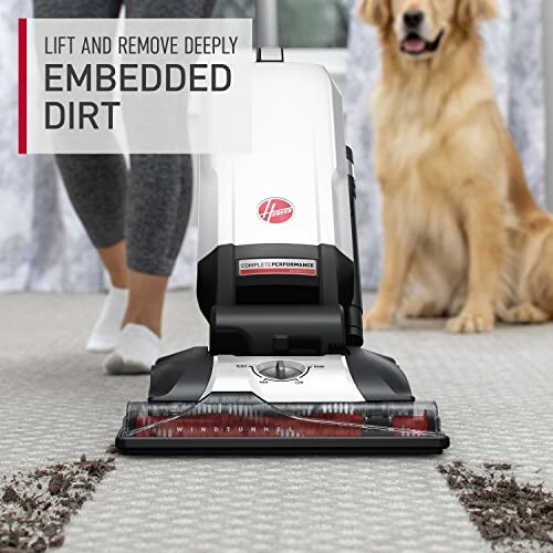 Vacuum cleaner removing dirt from carpet with dog nearby.