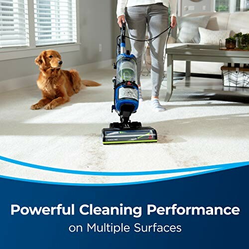Person vacuuming carpet with a dog nearby.
