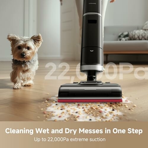 Vacuum cleaner picking up mess on floor with small dog nearby.