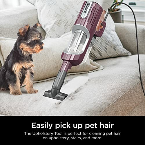 Person using a vacuum with upholstery tool to clean pet hair from a couch with a small dog nearby.